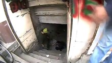 Educaţia cu bâta!