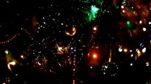 Christmas Tree 12 - Free HD stock footage