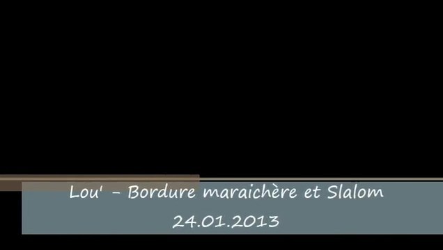 Lou' - Bordure maraîchère et Slalom - Janvier 2013