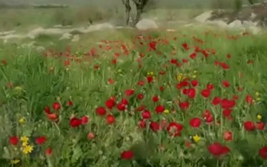 Ay Buluta Girmis Gece Yarisi --İzzet yıldızhan.