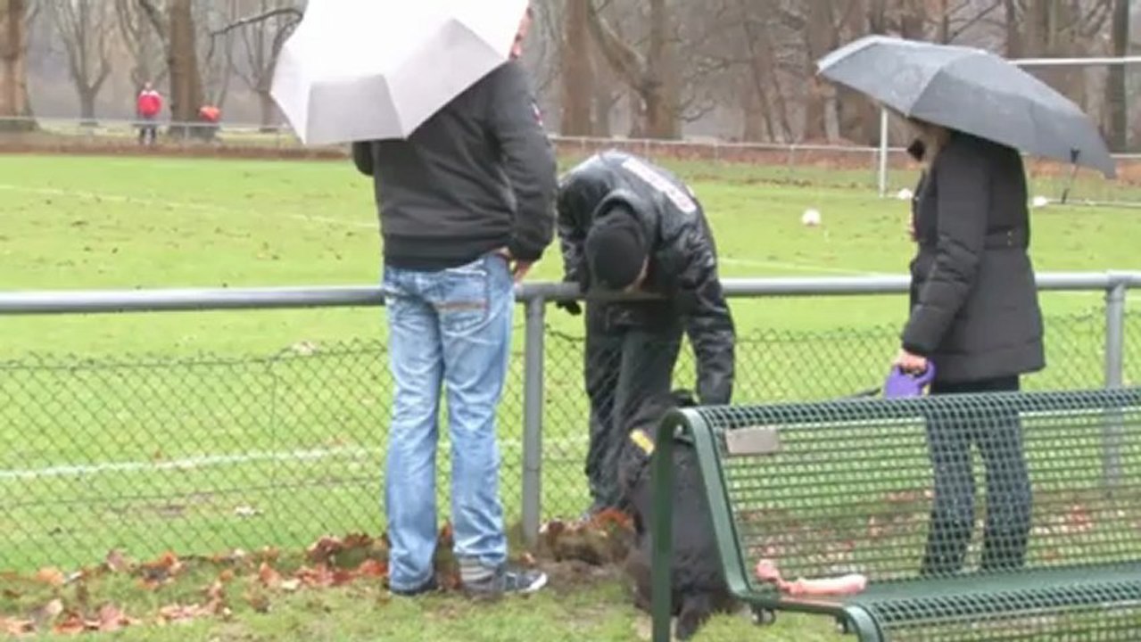 Aue und Pezzoni treten in Köln an