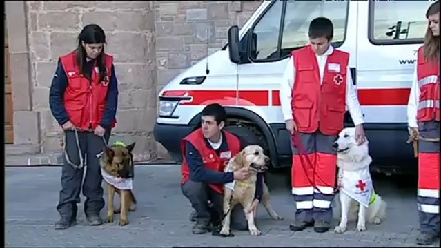 TV3 - Divendres - Gossos al rescat!