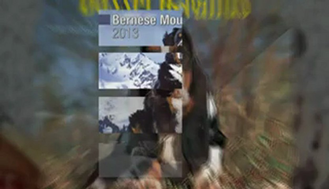 2013 Dog Breed Calendars |  Megacalendars com| 2013 Calendars