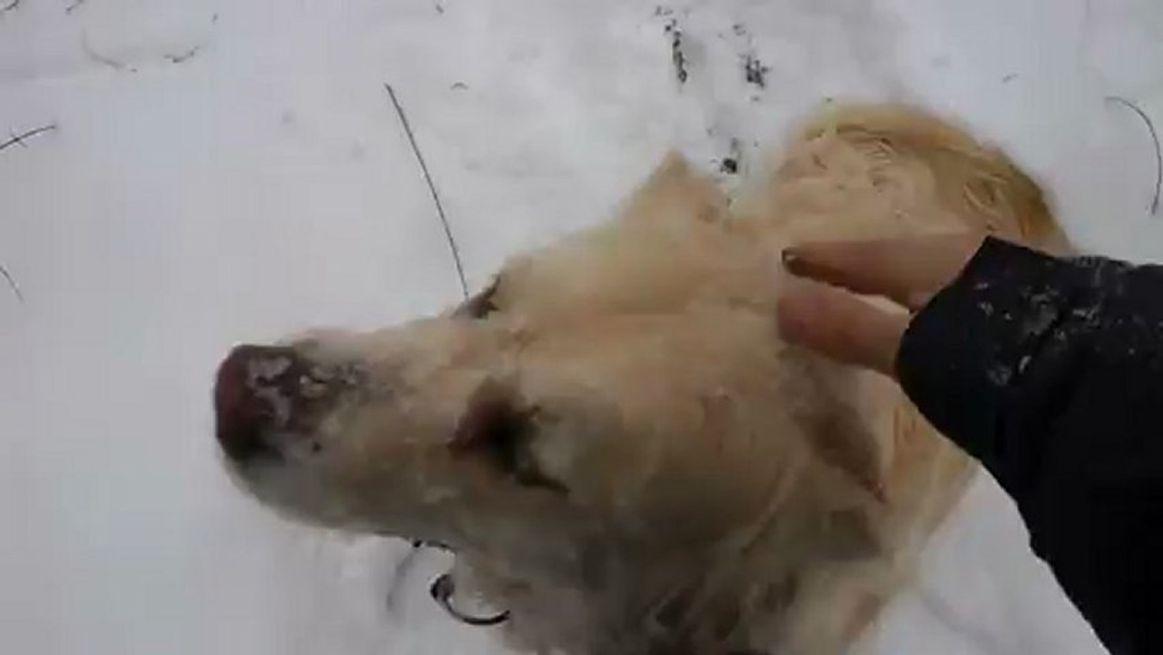 mimi dans la neige