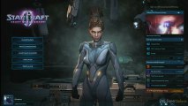 StarCraft II : Heart of the Swarm - Les Fonctionnalités Sociales