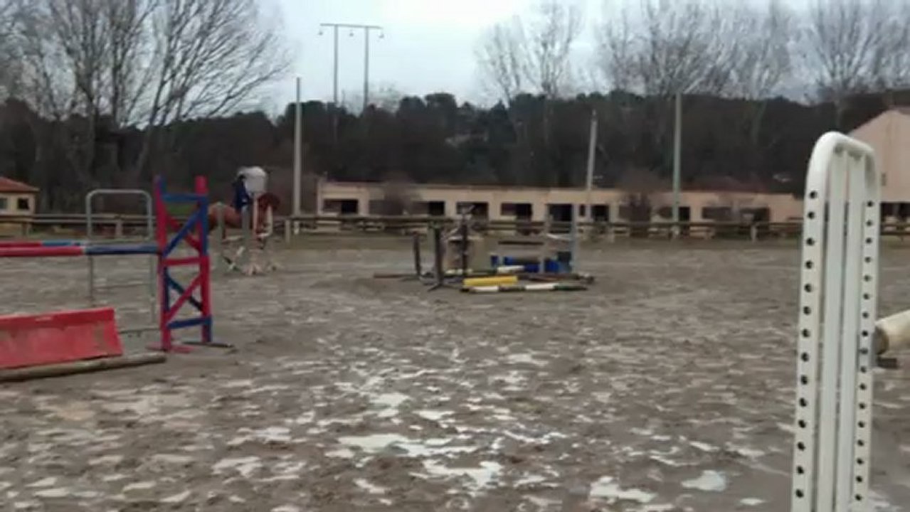 Mariacci