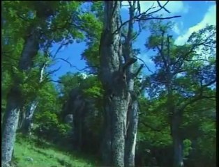 Γερόντισσα Μυρτιδιώτισσα Η ασκήτρια της Κλεισούρας Μέρος 2ο (2 απο 7)