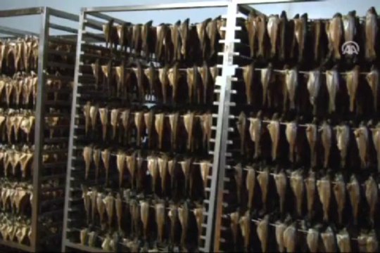 Avrupalı'nın gözdesi oldu