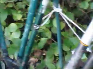BEDODAILYFEB2PART2GARDENVLOG
