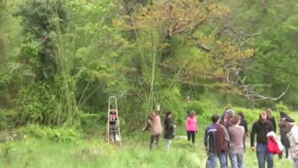 Flânerie à la Vacherie