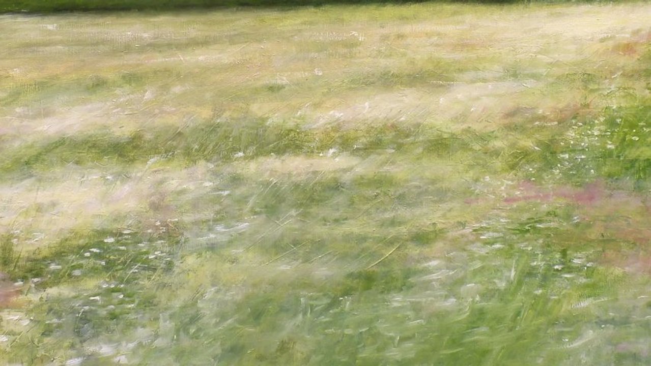 Paysages 2012