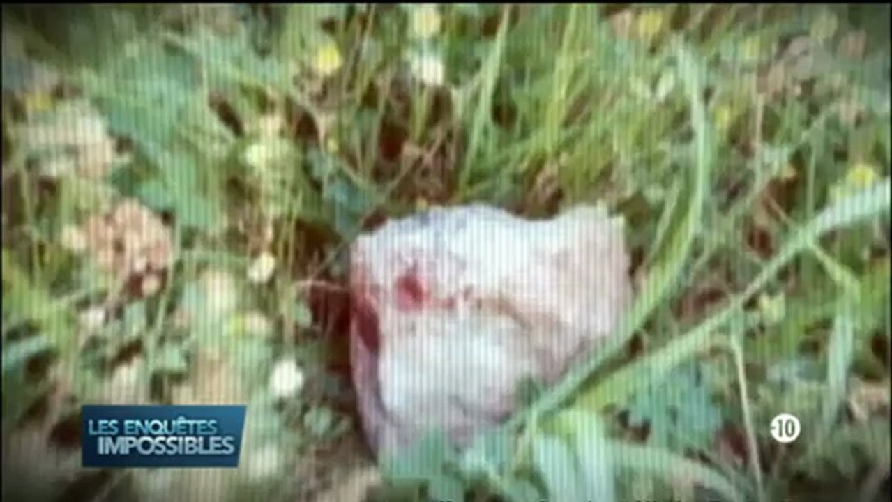 Les enquêtes impossibles - Après-midi de chien-Preuve fatal