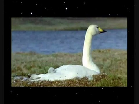 Отличие веры от религии