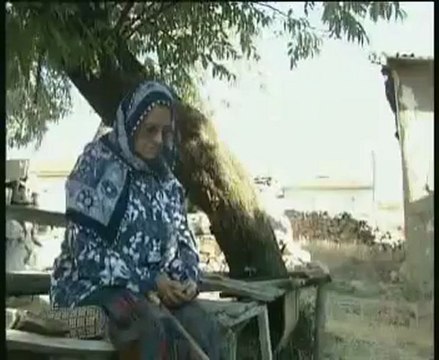 Yıldız Çam _ Ötmesin bülbüller
