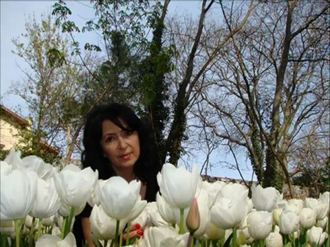 Melihat Gülses İncecikten Bir Kar Yağar Tozar Elif Diye