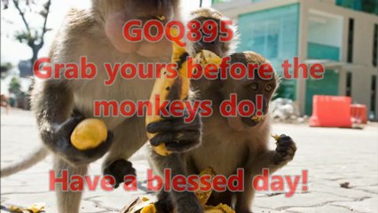 iHerb Coupon Code GOQ895