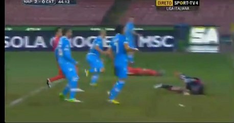 Gol de Paolo Cannavaro vs Catania