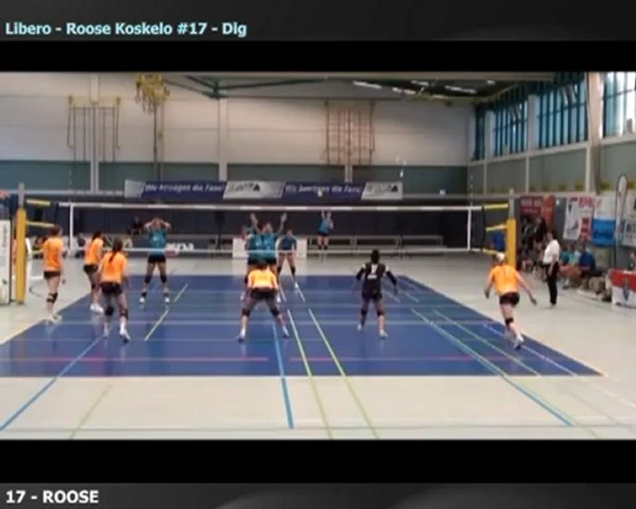 Koskelo Roosa Libero