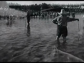 Silvana Mangano. Riso Amaro Canto Delle Mondine. by Giuseppe INFANTINO