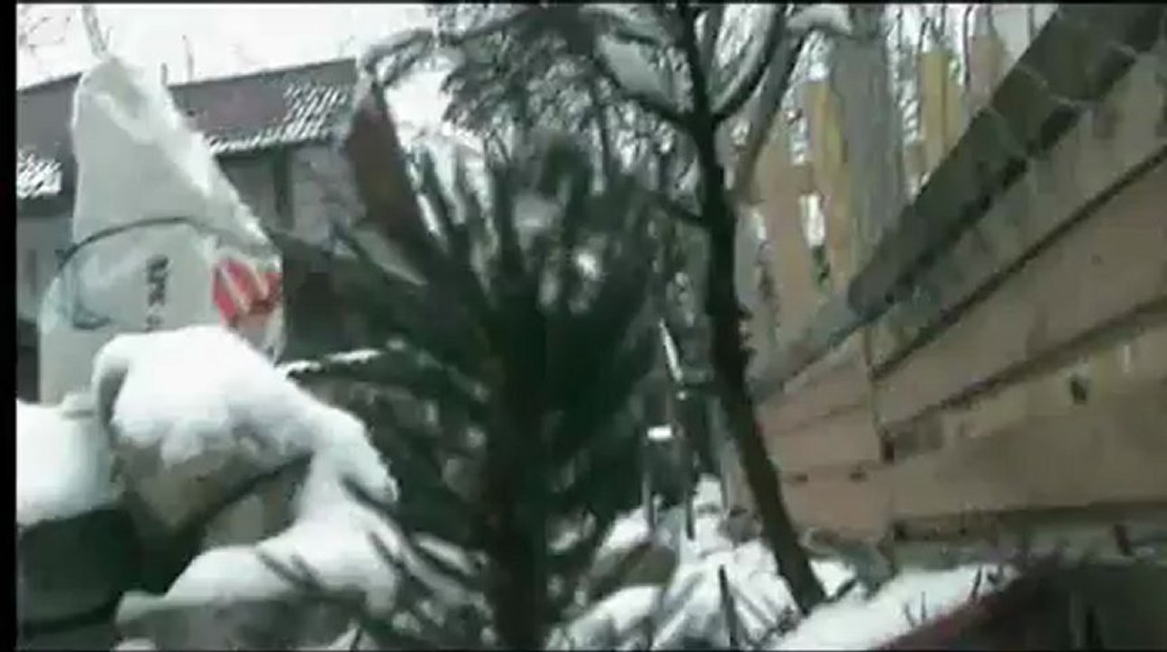 video kolaz