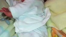 baby craigan casaburas