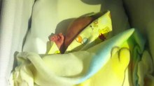 baby craigan casaburas