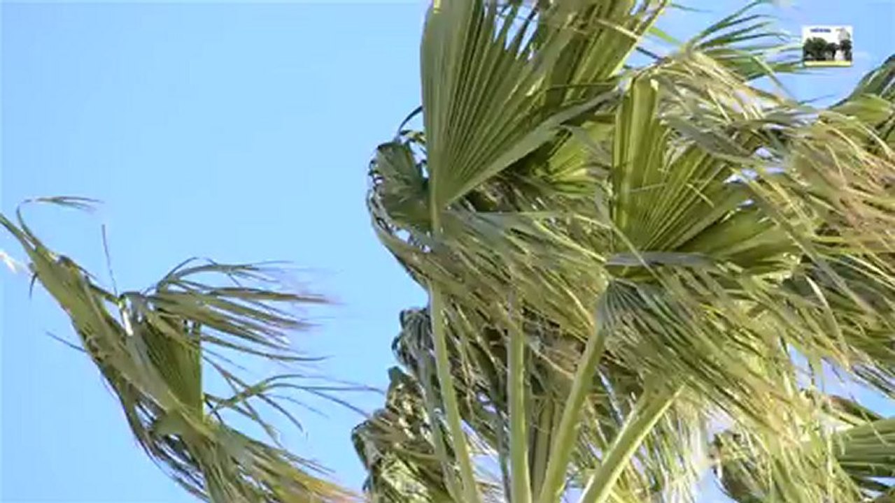 coup de tabac sur La Ciotat