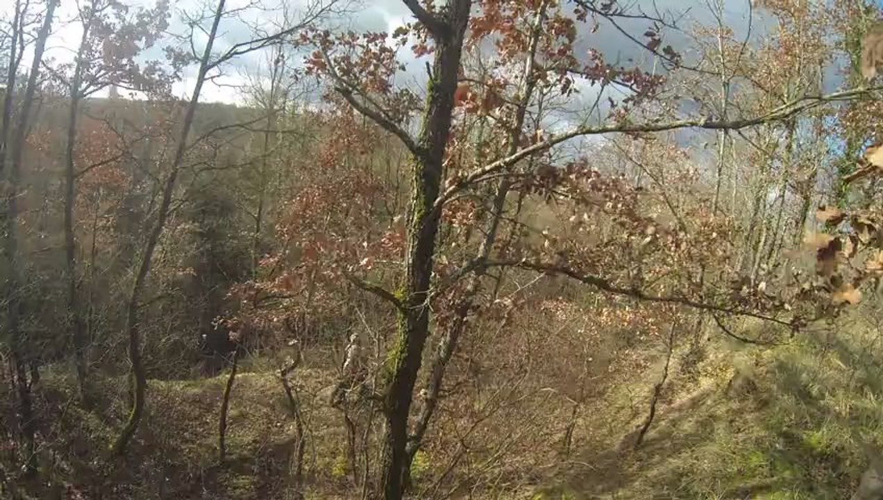 Enduro - 02/02/2013 - AMVC