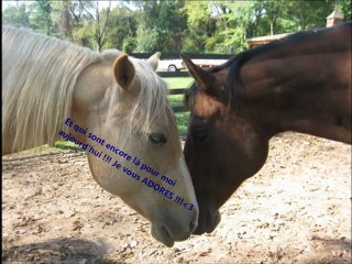 A Chacun Son Histoire Voici La Mienne !