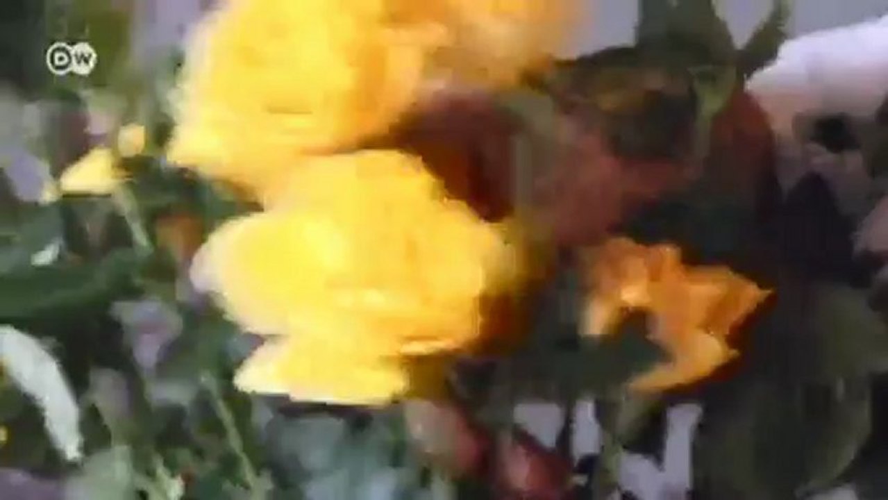 70 Jahre Schlacht von Stalingrad | Journal Reporter