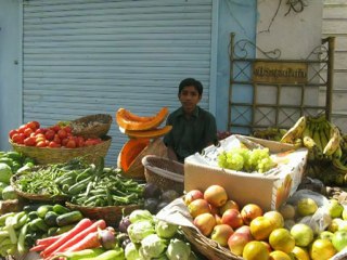 A travers le Rajasthan 2009 diaporama