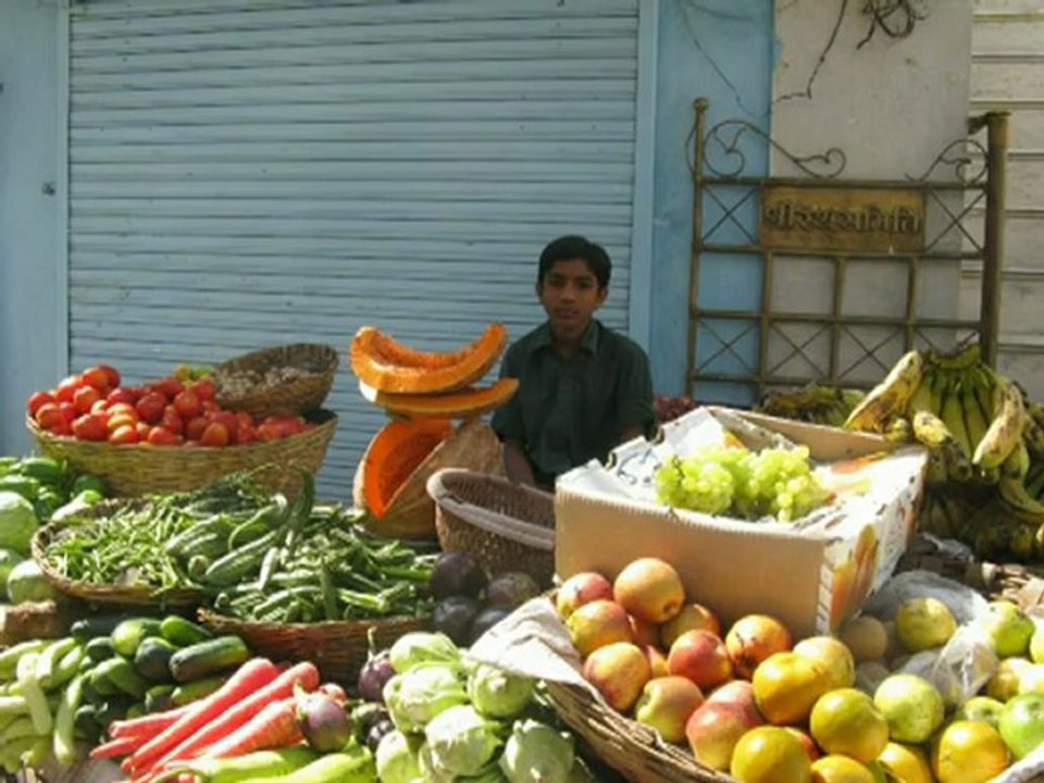 A travers le Rajasthan 2009 diaporama