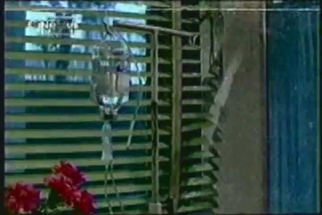 island people clip 1