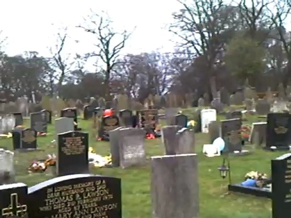 CLIP0522