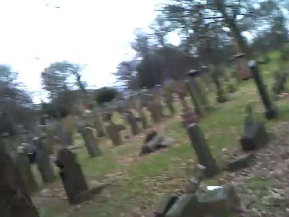 CLIP0525