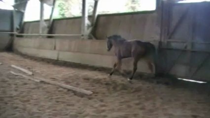 Action de Ponts, 31 Janv 2013