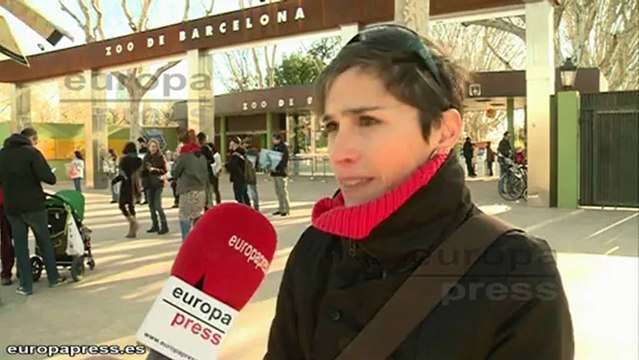 SOS Delfines defiende los derechos de los cetáceos