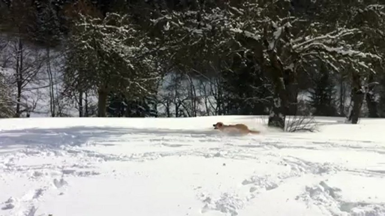GAILLAC DANS LA NEIGE