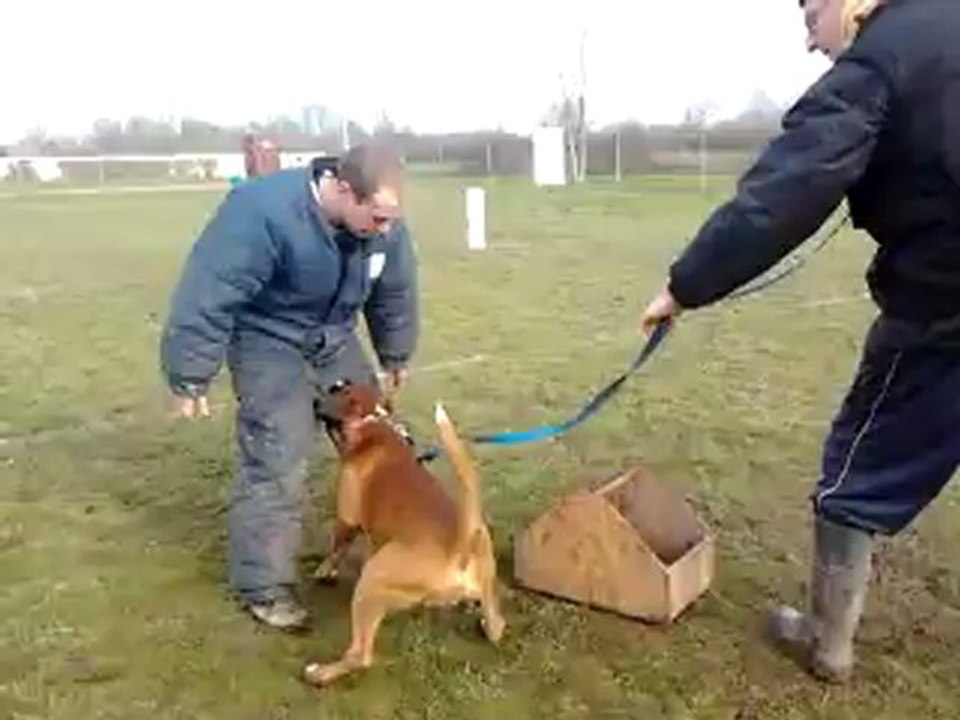 1ère garde d'objet d'Echarpe du Faubourg des Hirondelles pour le ring 3