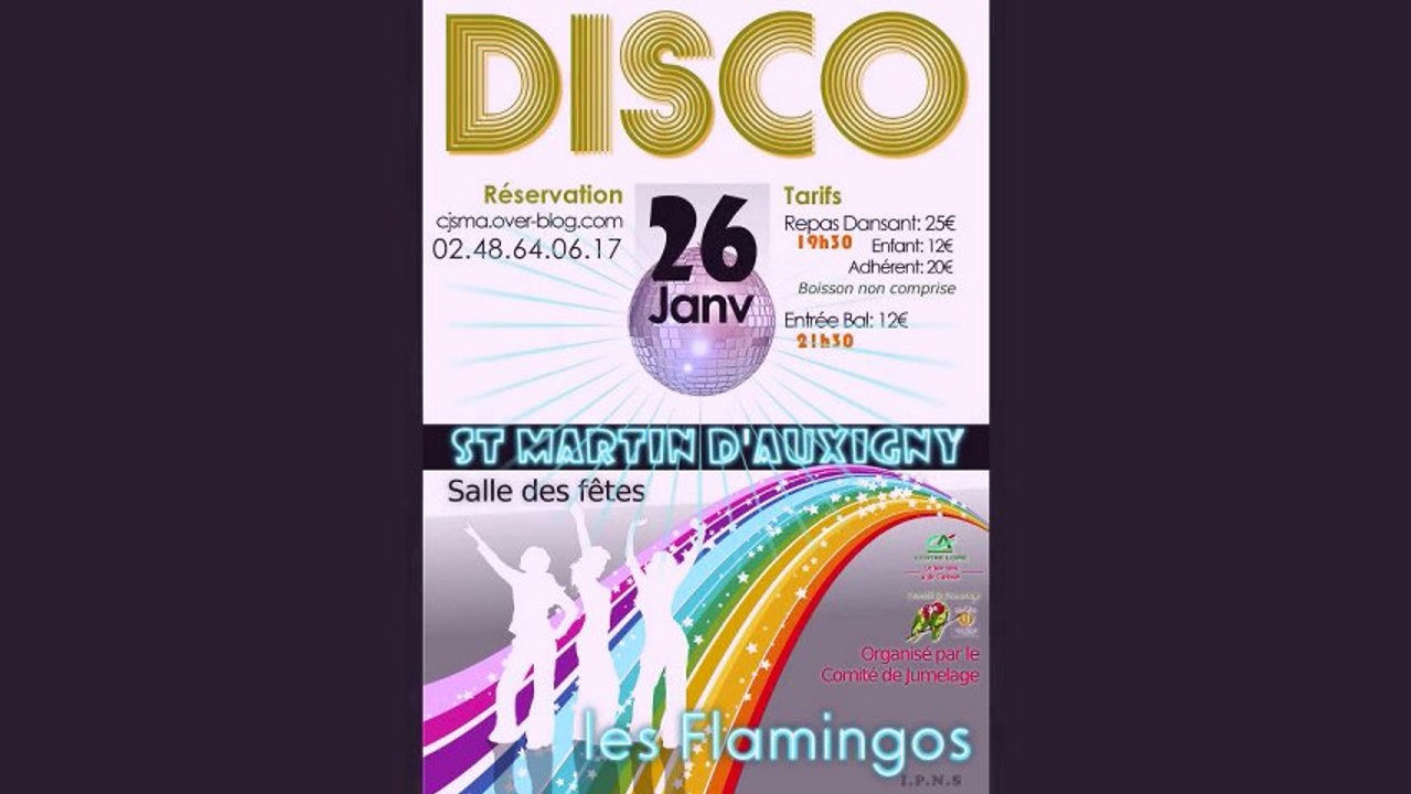Soirée 2013 - Disco