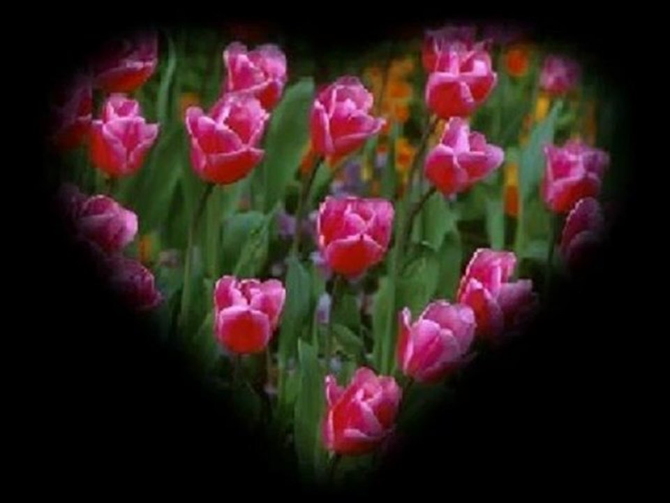 Tülay Özer _ Kıraç Kolay vazgeçmeyi öğrendim artık