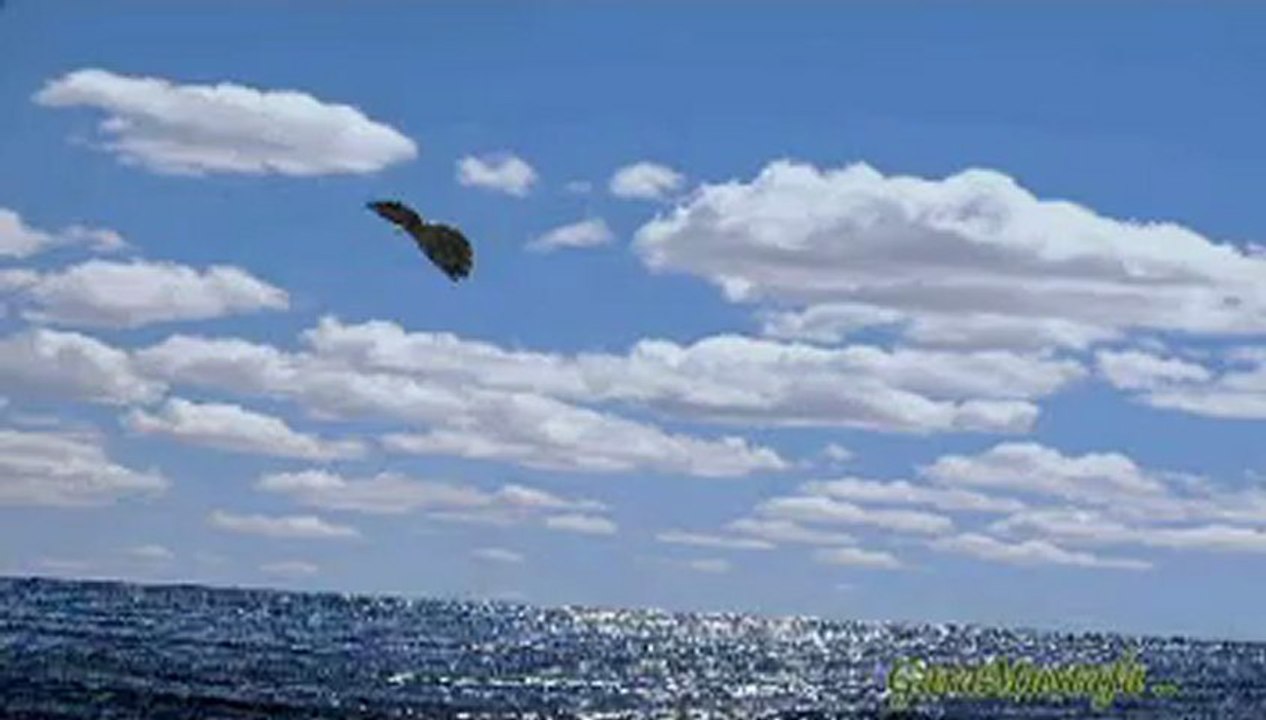 Çarşambayı Sel Aldı .. GaraMustafa.. Enstrümantal .