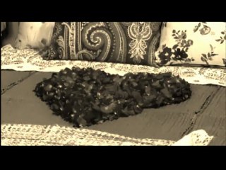 AMOR BRAVÍO -Cuando Manda el Corazón-