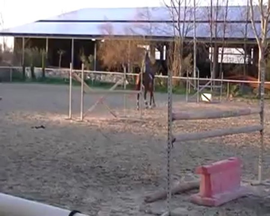 ulysse