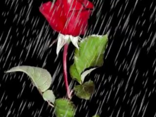 Huseyin Tatli    -  Yüregin Varsa GeL.