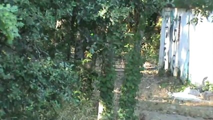 recherche utilitaire françoise aoc 66