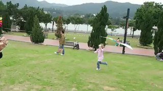 Cerf-volant à Tai Po