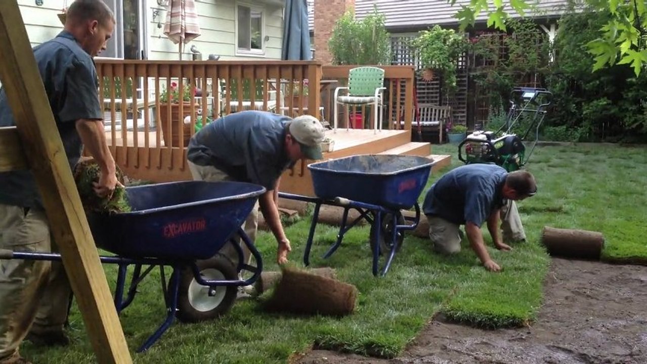 Sod Installation Monument Colorado-Lawn-Pros-Fertilization-Overseeding-Powerraking-Lawn-Aeration-Deep-Core-Irrigation-System-Repair-Maintenance- (1)