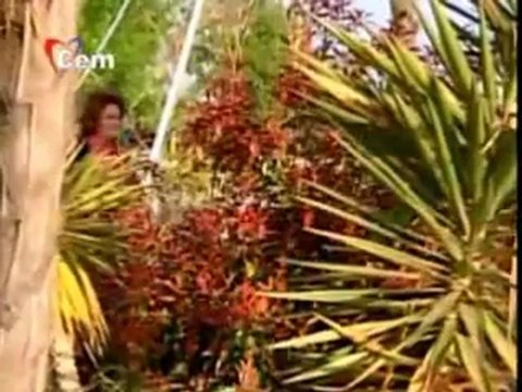 selda bağcan-döngel bi tanem