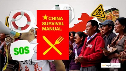 CHINA SURVIVAL MANUAL (Chine) VF - Netexplo